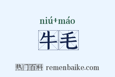 牛毛是什么意思的图片